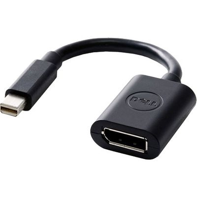 Mini DisplayPort naar DisplayPort Adapter