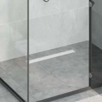 Doucheafvoer 2-in-1 met 360° Sifon Zilver 60 cm