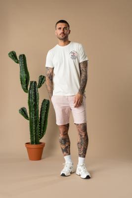 Petrol T-shirt Ss Classic Print M-1060-tsr625 Print T-shirts 0112 Seashell