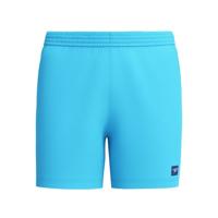 Speedo Eco Prime Leisure 16 Zwembroek Heren Blue XL