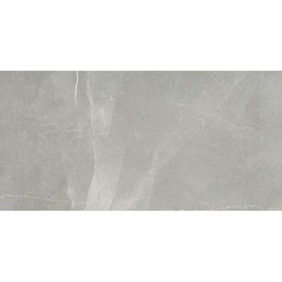Florim Timeless 744856 Vloertegel 300X600 Grey 9Mm Glans Ret.
