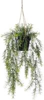 Hangplant met pot 3 - Driesprong collection