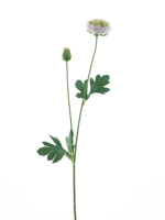 New ranunculus spray Flaine lt pink 55 cm kunstbloem Erutan Avon - Erutan avon