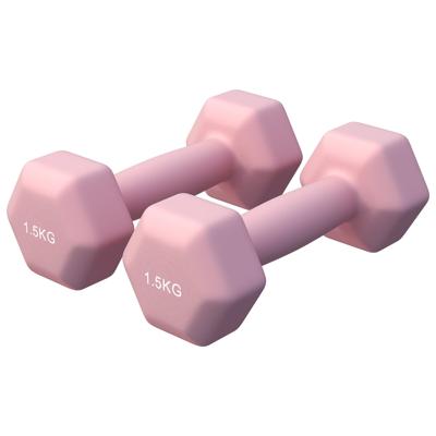 Vinyl halterset 2 x 1,5 kg