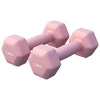 Vinyl halterset 2 x 1,5 kg