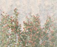 Komar Le Jardin Fotobehang Wall Roses - LJX6-038