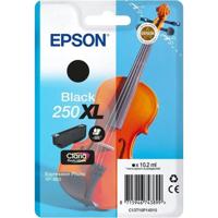 Epson Singlepack Black 250XL ink