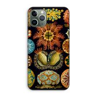 Haeckel Ascidiae: iPhone 11 Pro Tough Case