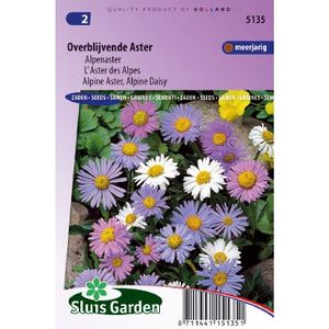 Aster Alpinus zaden Alpenaster Mix