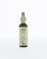 Bach Holly/hulst