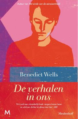 De verhalen in ons (Hardback)