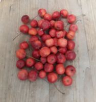 Sierappeltjes 1 schep - Warentuin natuurlijk