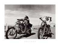 Kunstdruk The Chelsea Coll - Freedom 80x60cm