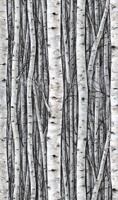Marburg Timber Fotobehang met berkenbomen - 35395