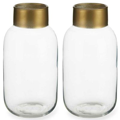 Bloemenvazen 2x stuks - luxe decoratie glas - transparant/goud - 14 x 30 cm