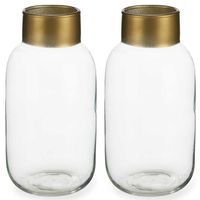 Bloemenvazen 2x stuks - luxe decoratie glas - transparant/goud - 14 x 30 cm