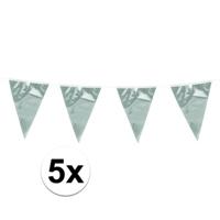 Boland Vlaggenlijn - 5x - zilver - 10 meter - vlaggentjes - glitter en glamour
