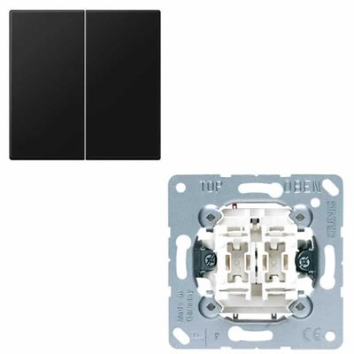 JUNG LS 995 SWM dubbele schakelwip LS990 grafiet mat zwart met serieschakelaar