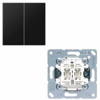 JUNG LS 995 SWM dubbele schakelwip LS990 grafiet mat zwart met serieschakelaar