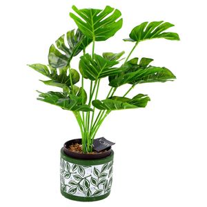 Pot Olea Cylinder Groen 11cm