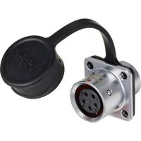 Weipu SF1213/S5 Ronde connector Koppeling, recht Totaal aantal polen: 5 Serie (ronde connectoren): SF12 1 stuk(s)