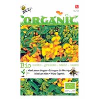 Buzzy - 5 stuks Organic Tagetes lucida Tuinplus