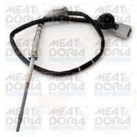 Sensor, uitlaatgastemperatuur 12193