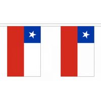 Polyester vlaggenlijn Chili   -