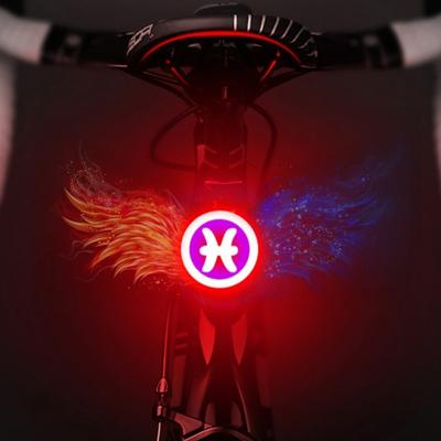 USB opladen rood blauw kleur paardrijden licht achterlicht veiligheidswaarschuwing licht (vissen stijl)