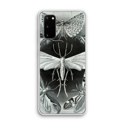 Haeckel Tineida: Samsung Galaxy S20 Transparant Hoesje