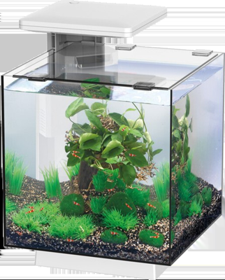 Superfish QubiQ 15 LED wit