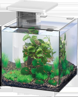 Superfish QubiQ 15 LED wit