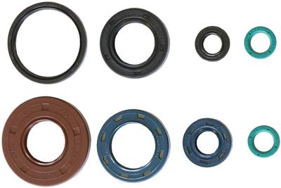 ATHENA Motorshield mxu/maxxer300,05-10,athen