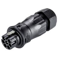 Wieland Electric 96.072.4853.1 Steekverbinder