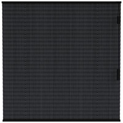 Leen Bakker - Fenstr Plisségordijn Lille Enkel 20mm Transparant - (15017) - Polyester - Zwart - 120x10x10 Cm