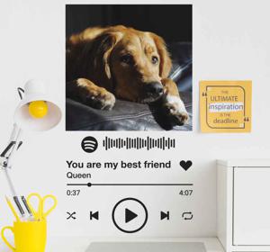 Stickers drukken Spotify tekst en afbeelding