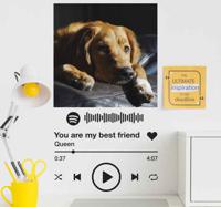 Stickers drukken Spotify tekst en afbeelding - thumbnail