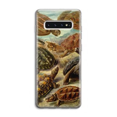 Haeckel Chelonia: Samsung Galaxy S10 4G Transparant Hoesje