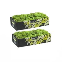 3x pakjes decoratie/hobby mos groen 500 gram