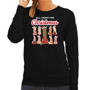 Bellatio Decorations foute kersttrui/sweater voor dames - All I want for Christmas - piemels - zwart 2XL  -