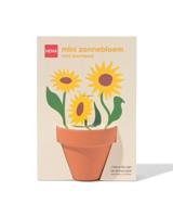 HEMA Groeipot mini zonnebloem