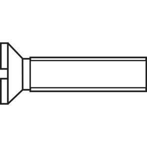 TOOLCRAFT 889708 Verzonken schroeven M2 8 mm Sleuf DIN 963 Staal Verzinkt 1 stuk(s)