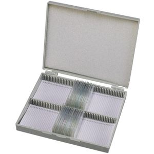 BRESSER Microscoop preparaten 25 stuks - Biologie