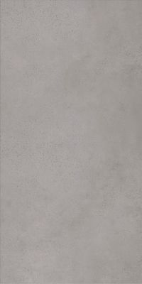 Art Graphite vloertegel beton look 30x60 cm antraciet mat