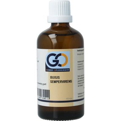 GO GO buxus sempervirens bio