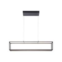 Paul Neuhaus Design hanglampContura rechthoekig - 2441-18