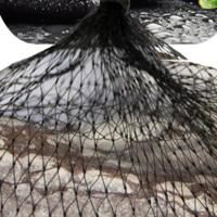 Sf zen deco stones 500 gram - Superfish