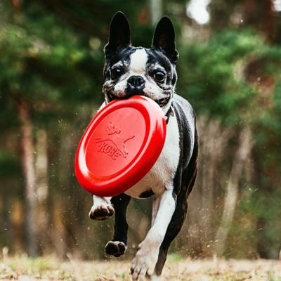 Frisbee voor hond met bacongeur Frisbee voor hond met bacongeur