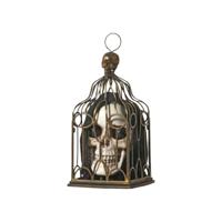 Halloween Decoraties Schedel 33 x 17 x 17 cm Wit