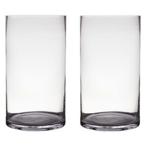 2x Transparante home-basics cylinder vaas/vazen van glas 45 x 25 cm